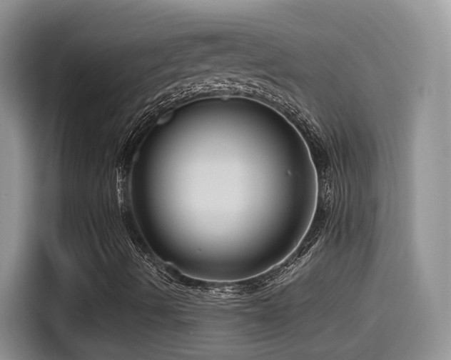 X0000115521490200911061406