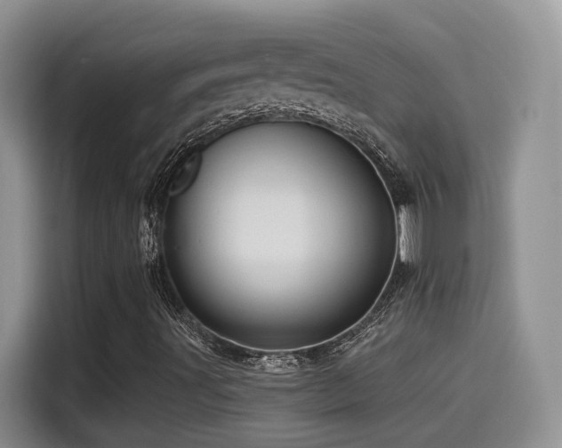 X0000115521491200911061406