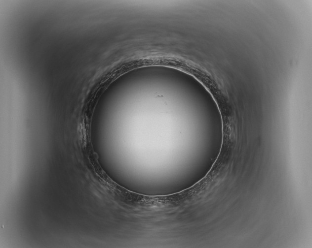 X0000115521493200911061406