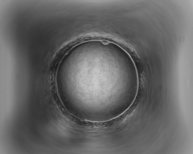 X0000115521494200911061406