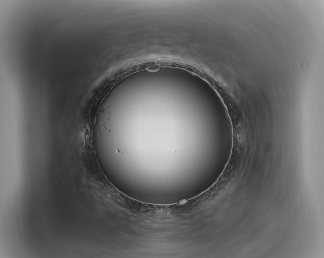 X0000115521495200911061406