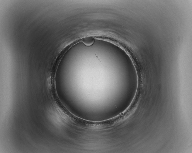 X0000115521497200911061407