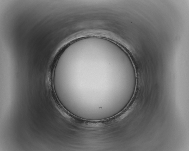X0000115521498200911061407