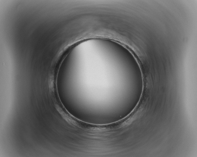 X0000115521499200911061407
