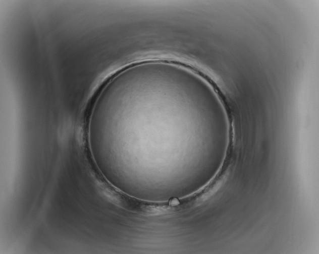 X0000115521501200911061407