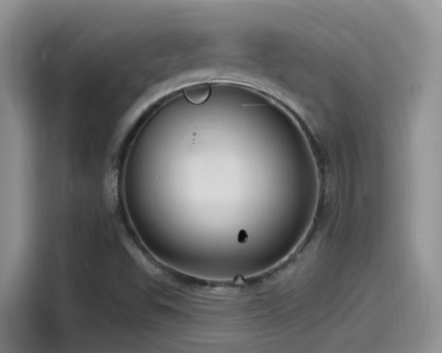 X0000115521503200911061407