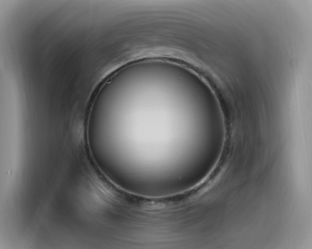 X0000115521505200911061407