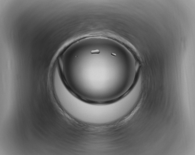 X0000115521506200911061407