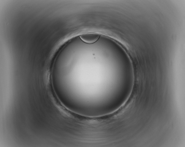 X0000115521507200911061407