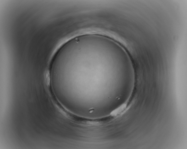X0000115521509200911061407
