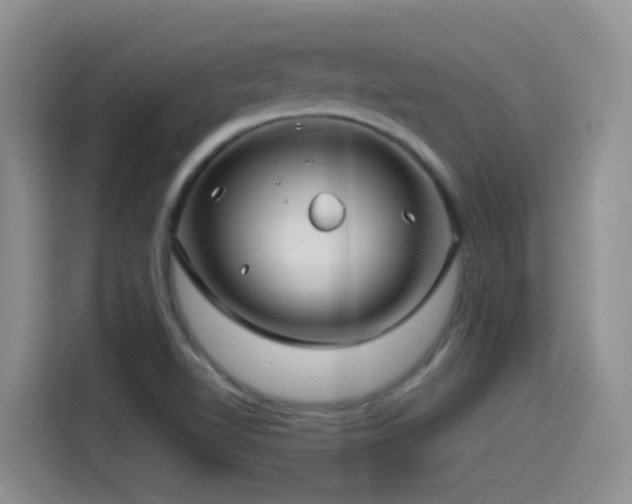 X0000115521510200911061407