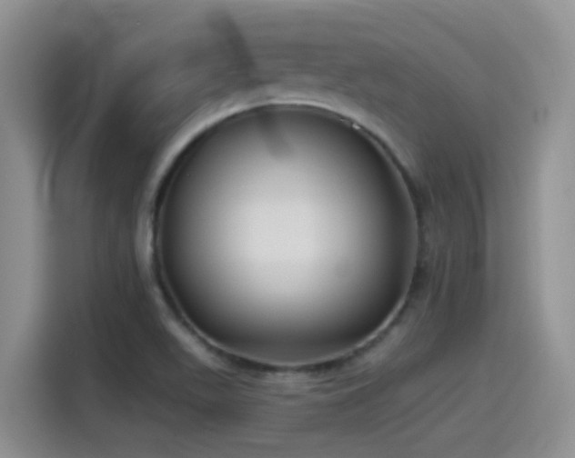 X0000115521511200911061407