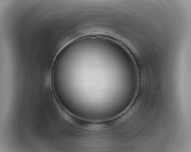 X0000115521513200911061407