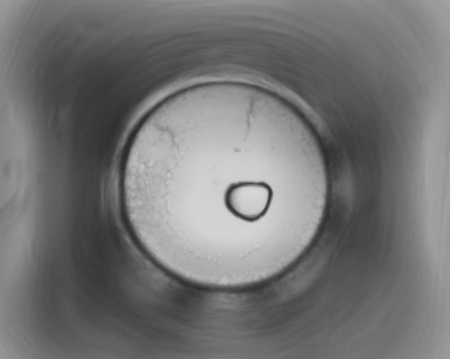X0000115521514200911061407
