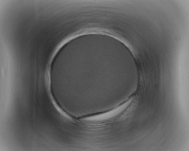 X0000115521515200911061407