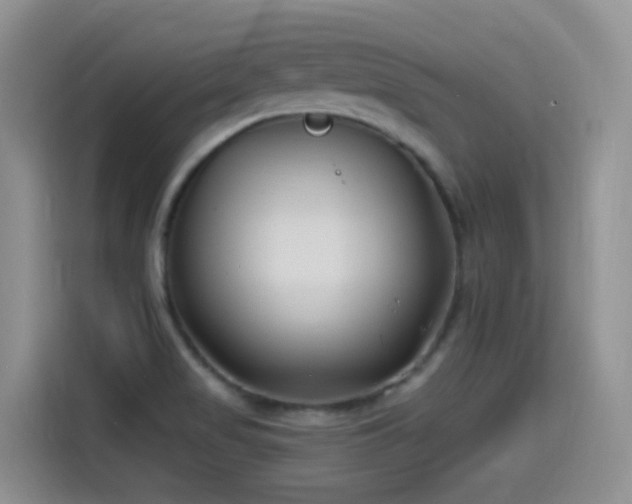 X0000115521517200911061407
