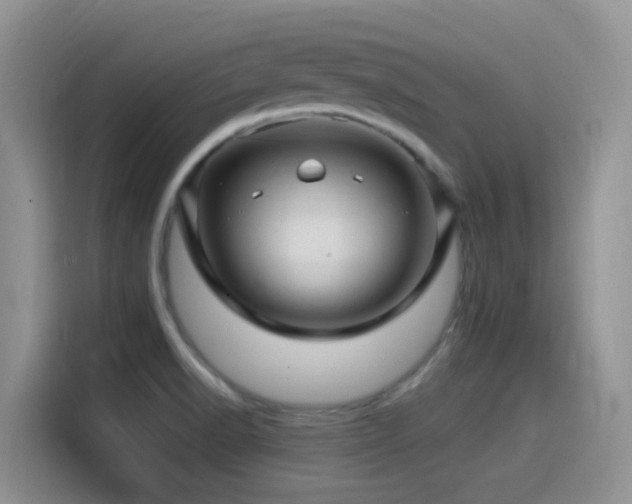 X0000115521518200911061407