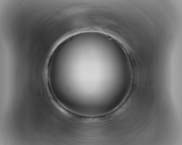 X0000115521519200911061407