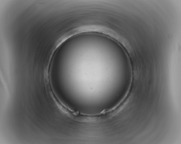 X0000115521521200911061407