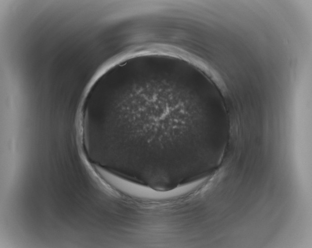 X0000115521522200911061407