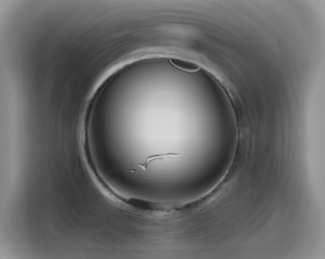 X0000115521523200911061407