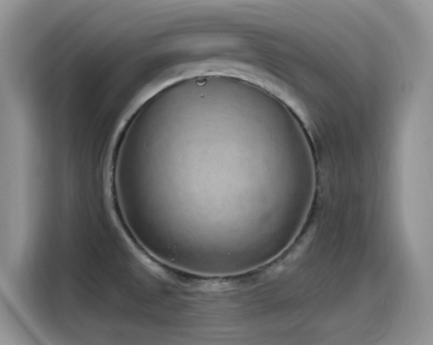 X0000115521525200911061407
