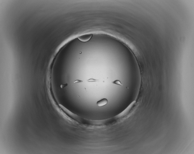 X0000115521526200911061407
