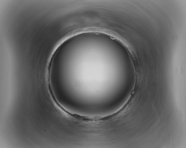 X0000115521527200911061407