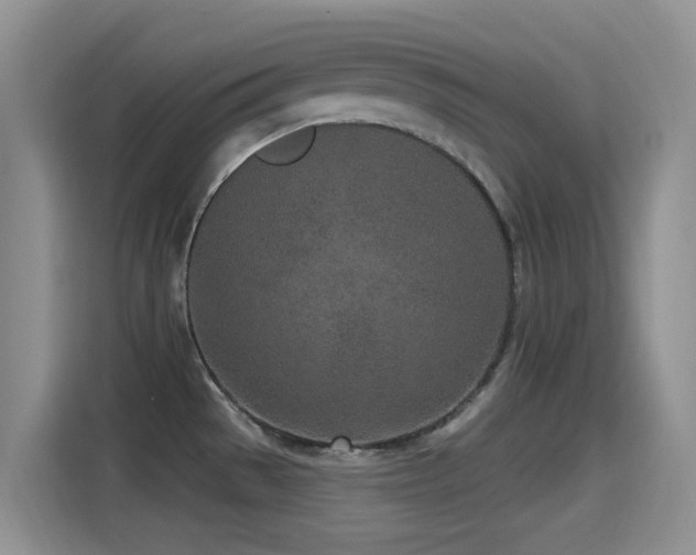 X0000115521529200911061407