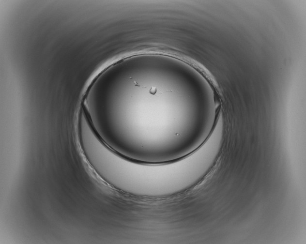 X0000115521530200911061407