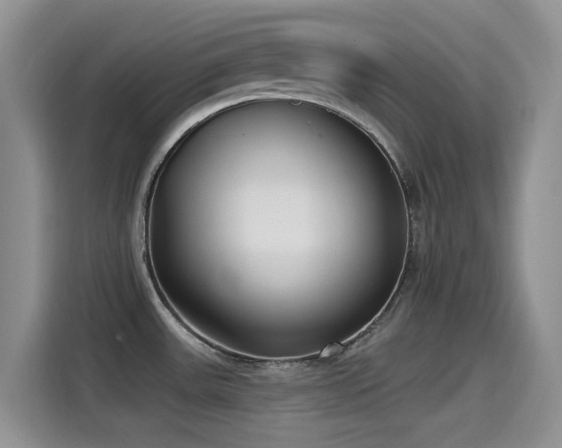 X0000115521531200911061407