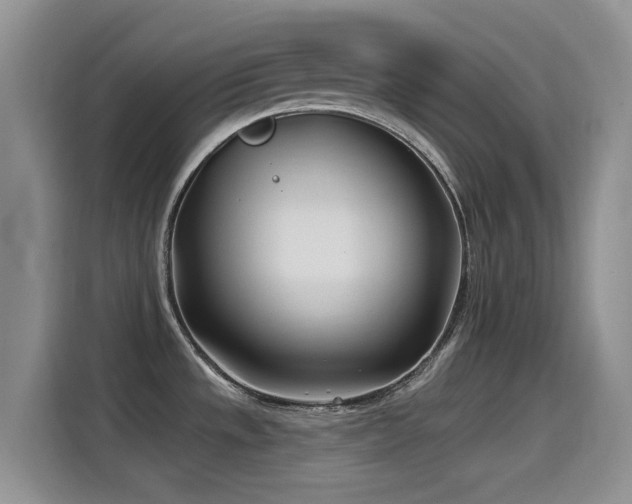 X0000115521533200911061407