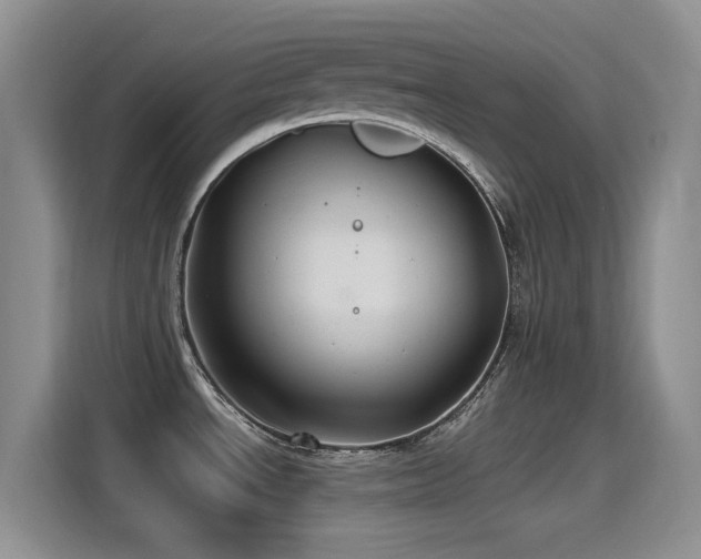 X0000115521534200911061407