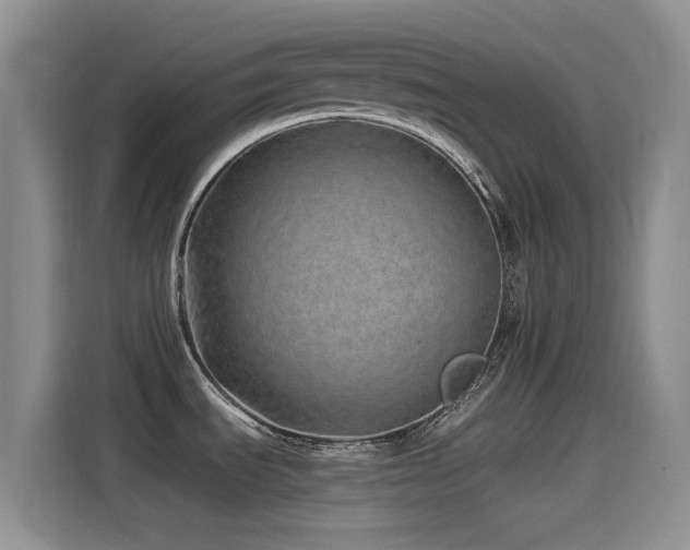 X0000115521535200911061407