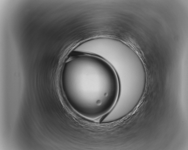 X0000115520001200911131454