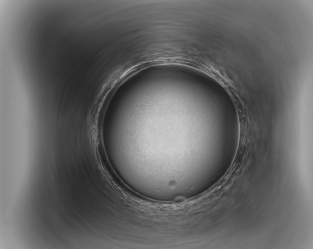 X0000115520002200911131454