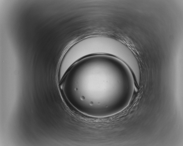 X0000115520003200911131454