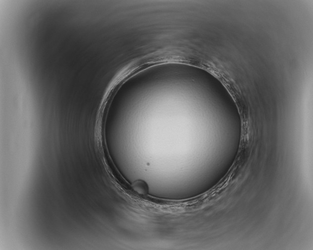 X0000115520004200911131454