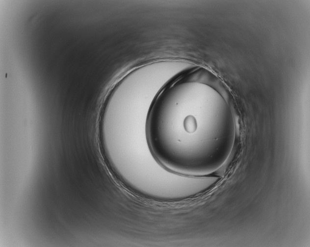 X0000115520005200911131454