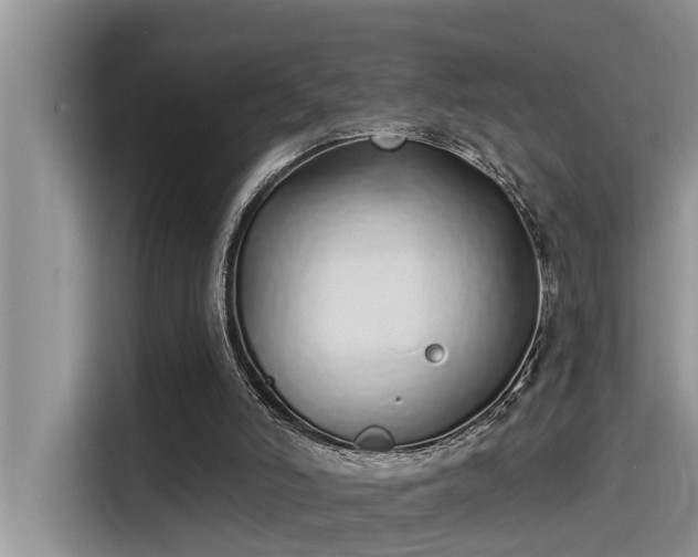 X0000115520006200911131454