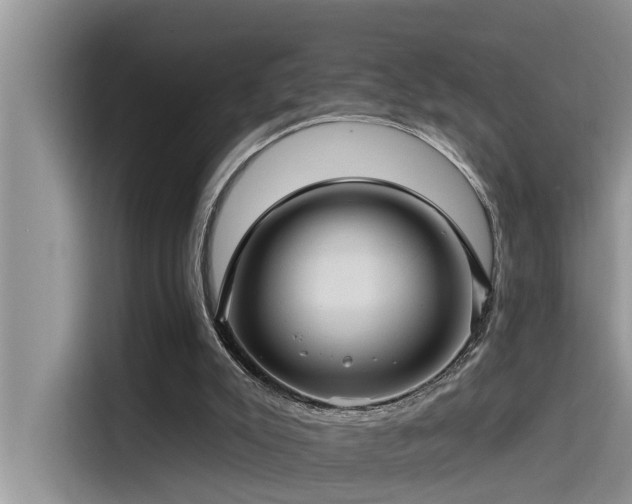 X0000115520007200911131454