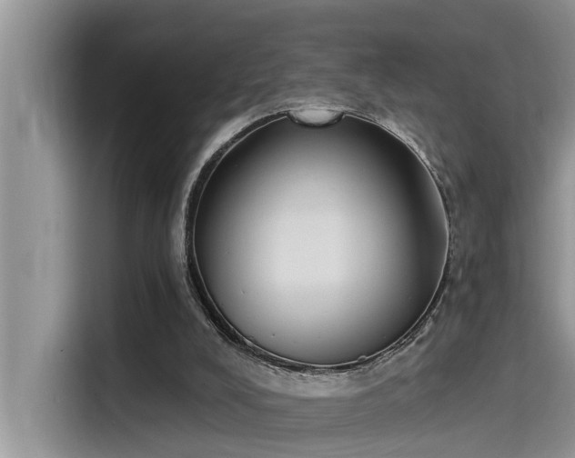 X0000115520008200911131454