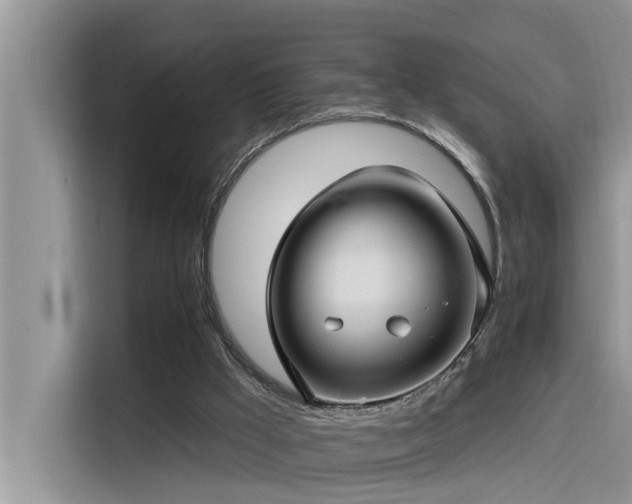 X0000115520009200911131454