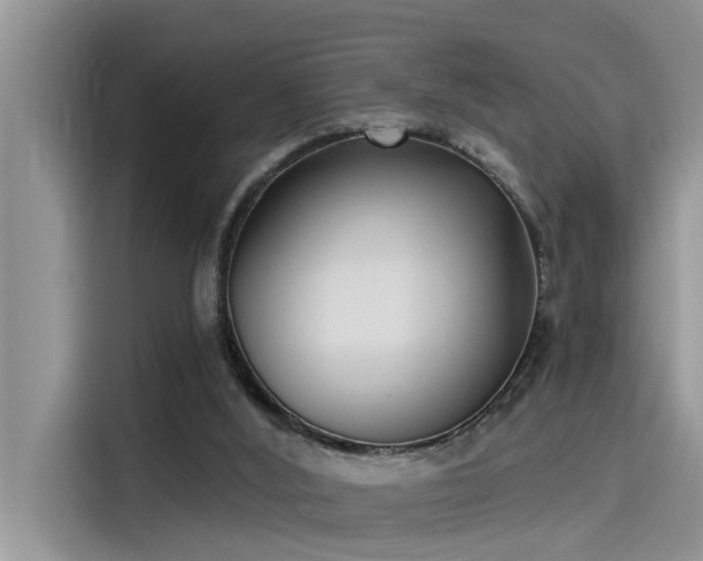 X0000115520012200911131454