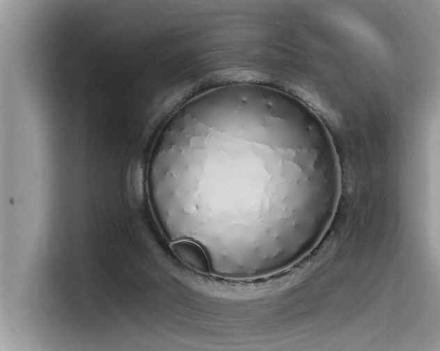 X0000115520014200911131454