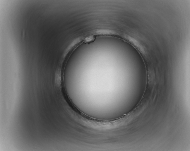 X0000115520015200911131454