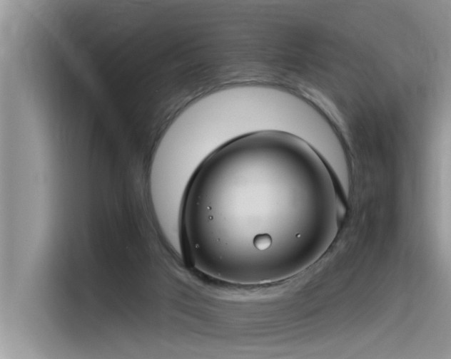 X0000115520017200911131454