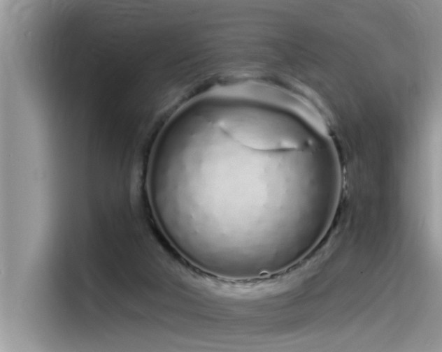 X0000115520018200911131454