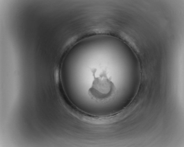 X0000115520019200911131454