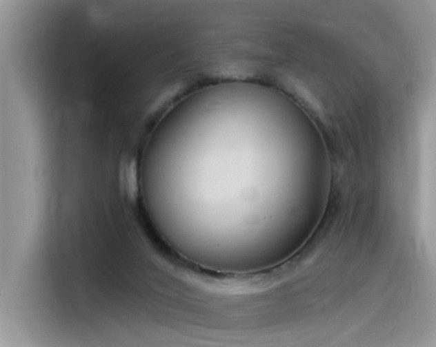 X0000115520020200911131454